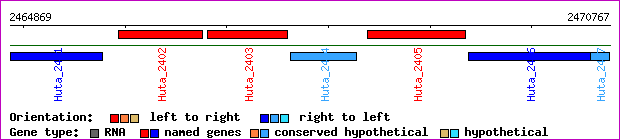 gene map