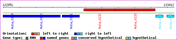gene map