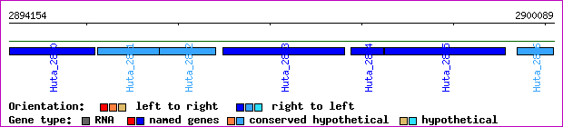 gene map