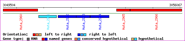 gene map