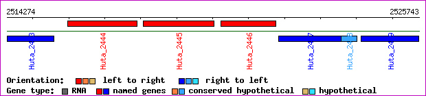 gene map
