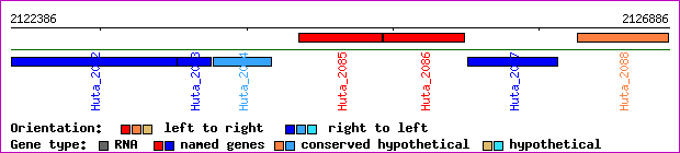gene map