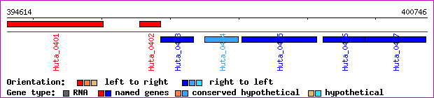 gene map