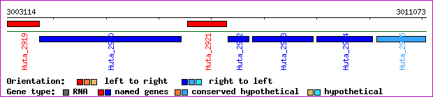 gene map