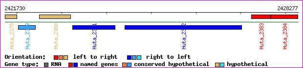 gene map