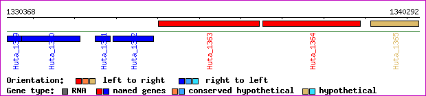 gene map