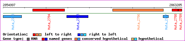 gene map