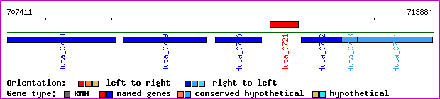 gene map