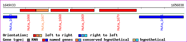 gene map
