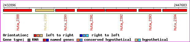 gene map