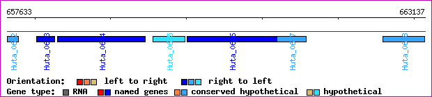 gene map