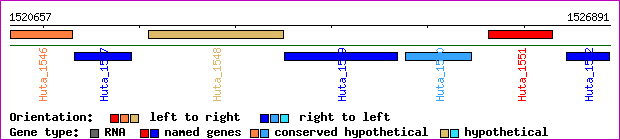 gene map