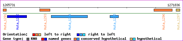 gene map