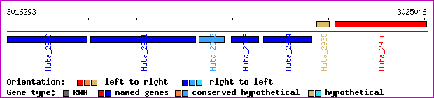 gene map