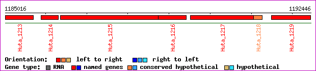 gene map