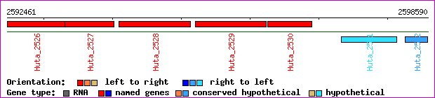 gene map