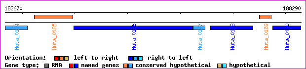 gene map