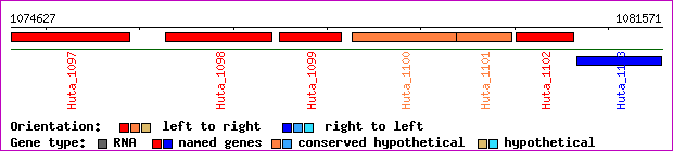 gene map