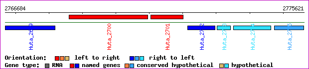 gene map