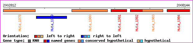 gene map
