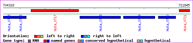 gene map