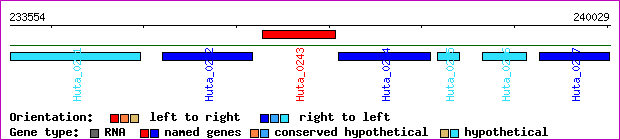 gene map