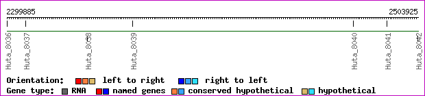 gene map