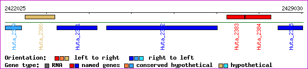 gene map
