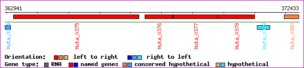 gene map