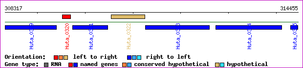 gene map