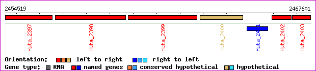gene map