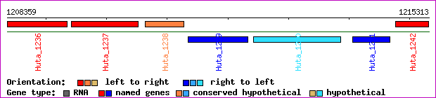 gene map