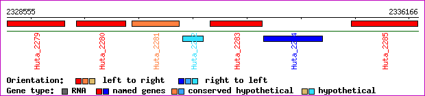 gene map