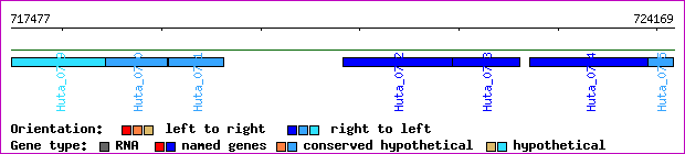 gene map
