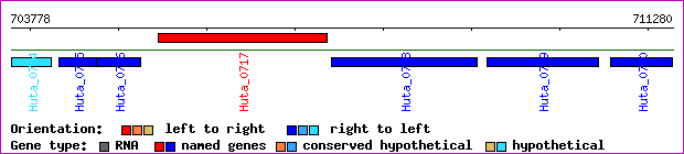 gene map