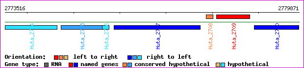 gene map
