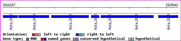 gene map