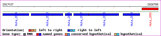 gene map