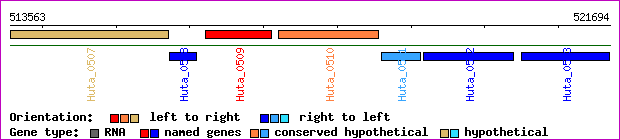 gene map