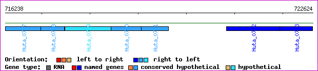 gene map
