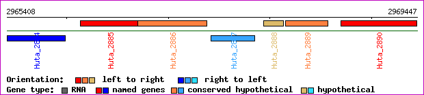 gene map