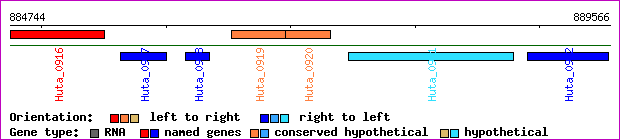 gene map