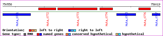 gene map