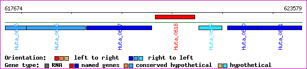 gene map