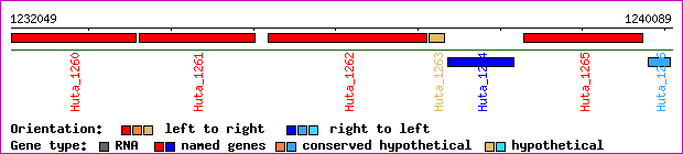 gene map