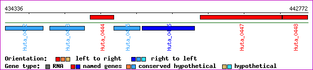 gene map