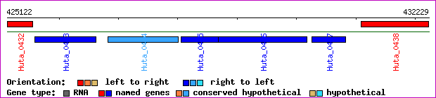 gene map