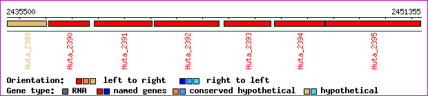 gene map