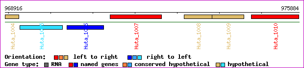 gene map