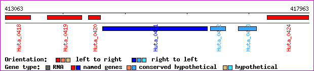 gene map